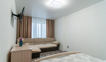 1-комнатная квартира Александра Матросова 36 в Красноярске - фото 4