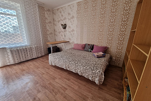 1-комнатная квартира Холмогорская 4В в Перми 3