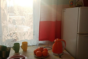 &quot;Emerald Lake Baikal&quot; 1-комнатная квартира в Выдрино фото 10