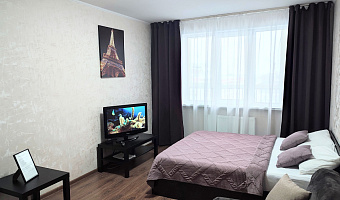 1-комнатная квартира Краснозвёздная 35 в Нижнем Новгороде - фото 3