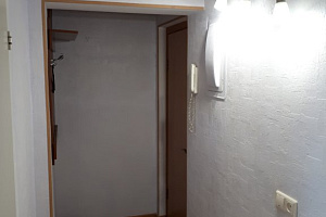 &quot;Топольники&quot; 1-комнатная квартира в Новокузнецке фото 6