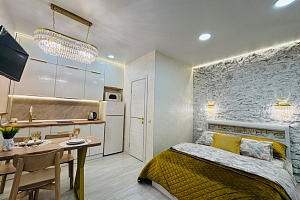 Квартира-студия Анисимова 8