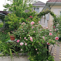 &quot;РозАлея&quot; гостевой дом