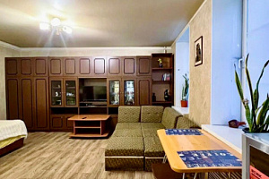 1-комнатная квартира Чернышевского 41 в Электростали 3