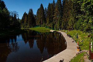 Отели Ленинградской области с бассейном, "Охта парк" парк-отель с бассейном - раннее бронирование