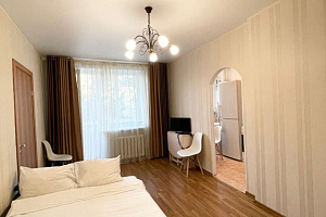 Мотели в Петрозаводске, 1-комнатная Ленина 15 мотель - фото