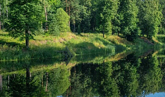 &quot;Розендорф&quot; отель в с. Ашитково (Воскресенск) - фото 4