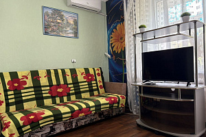 1-комнатная квартира Канатчиков 16А