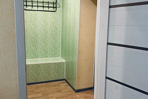 1-комнатная квартира Комсомольская 5 в Микуне фото 9