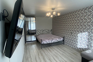 1-комнатная квартира Краснооктябрьская 3