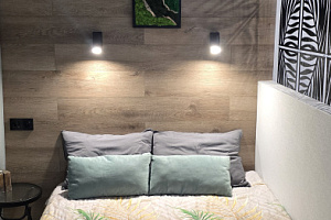 "В гостях у Алены" квартира-студия