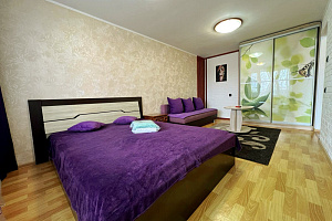1-комнатная квартира Краснореченская 163 в Хабаровске 5