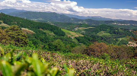 Что посмотреть в Сочи в апреле: путеводитель по лучшим местам