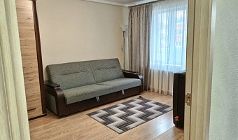 1-комнатная квартира Казанская 14 в Калининграде - фото 4