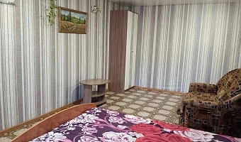 &quot;Уютная для спокойного отдыха&quot; 1-комнатная квартира в Бирске - фото 2