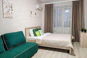 1-комнатная квартира Центральная 3