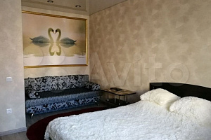 Квартиры Пензы с джакузи, 1-комнатная Терновского 192 с джакузи - фото
