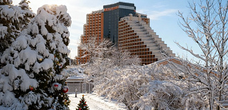 Отели и программы в Дагомысе на Новый год 2026