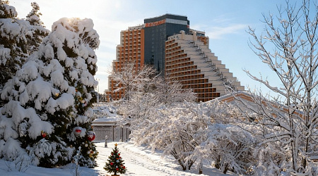 Как встретить Новый год 2026 в Дагомысе - лучшие отели и программы