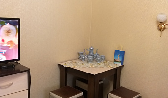 1-комнатная квартира Гагарина 10 в Кисловодске - фото 5