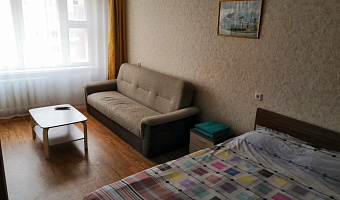 1-комнатная квартира Балтийская 5/а в Пскове - фото 5