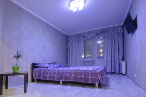 1-комнатная квартира Большая Санкт-Петербургская 106к4 эт 1