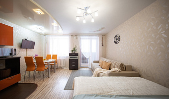 1-комнатная квартира Октябрьский 59А в Петрозаводске - фото 4