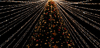 Ёлка и ярмарки в Адлере на Новый год 2026