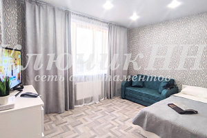 1-комнатная квартира Июльских Дней 1к2