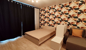 1-комнатная квартира Виктора Шевелёва 30 в Новосибирске - фото 2