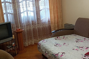 1-комнатная квартира Абазгаа 49/1 кв 58