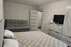 1-комнатная квартира Семенова 16 в Озерске 5