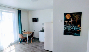 Квартира-студия Блюхера 123Д в Челябинске - фото 2