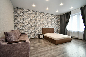 1-комнатная квартира Петра Подзолкова 6 эт 4