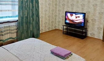 1-комнатная квартира Красный 77Б в Новосибирске - фото 3