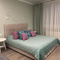 1-комнатная квартира Елизаветинская 8 эт 8