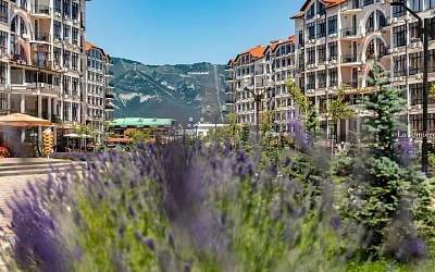 Геленджик в мае 2026 — погода, море и жильё