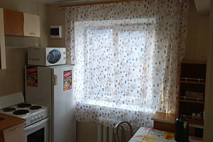 1-комнатная квартира Крупской 3 в Железногорске фото 4