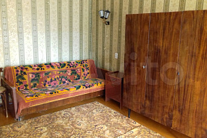 Квартиры Костромы с размещением с животными, 1-комнатная Красноармейская 48 с размещением с животными - фото