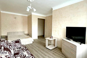 «На Ленина 91» 1-комнатная квартира