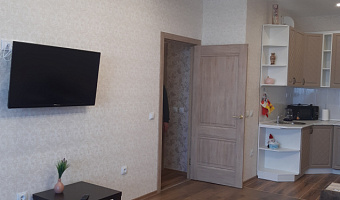 2х-комнатная квартира Береговая 2к2 в Петрозаводске - фото 5