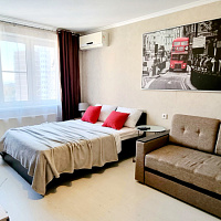 1-комнатная квартира Суворовская 77