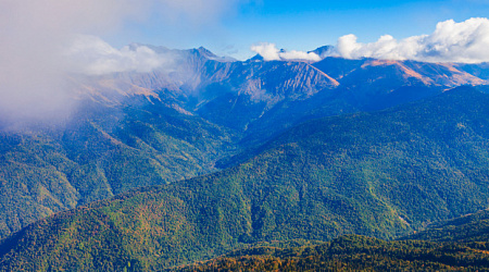 Горы или море? Как провести незабываемый отдых в Сочи 2026