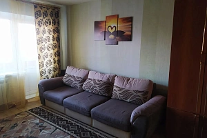 1-комнатная квартира Заводская 16 в Медвежьегорске фото 6
