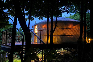 Дома Саратова в лесу, "Юрта в лесной зоне" в лесу - фото