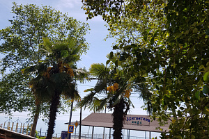 &quot;MishLen&quot; частный сектор