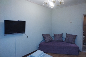 1-комнатная квартира Молокова 31В в Красноярске 3