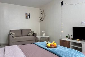 1-комнатная квартира Пролетарская 5