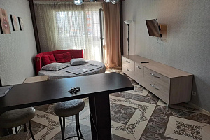 Лучшие гостиницы Барнаула, "Чистая уютная" 1-комнатная ДОБАВЛЯТЬ ВСЕ!!!!!!!!!!!!!! (НЕ ВЫБИРАТЬ)