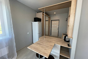 &quot;ColorApartments Октябрьский 26 эт 5&quot; квартира-студия в Королёве 13